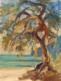 The olive tree along the beach, Paxos