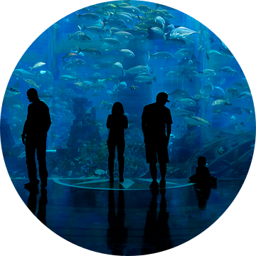 Aquarium van Tilo Grellmann