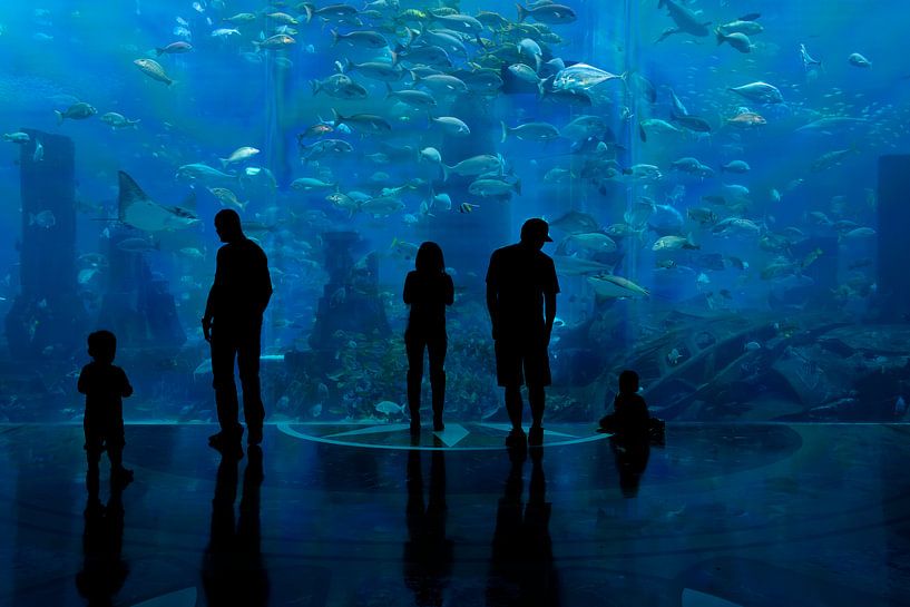 Aquarium von Tilo Grellmann