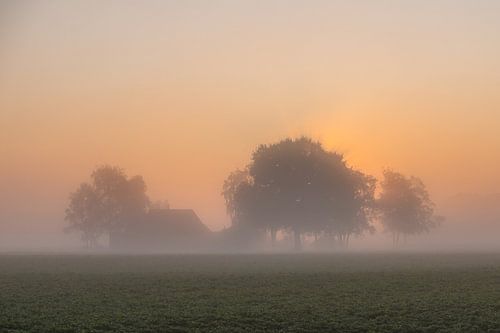 Die Niederlande erwachen