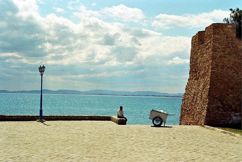 Africa by Maarten  van der Velden