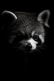 Wasbeer van Poster Art Shop