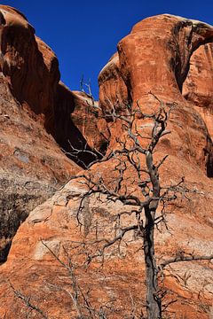 Parc national des Arches sur Maaike Hartgers