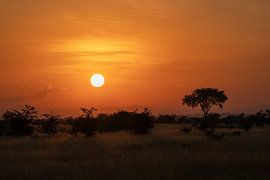 Sonnenaufgang in Uganda von Alexander Ludwig