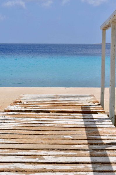 Steiger op Bonaire van Myrthe Visser-Wind