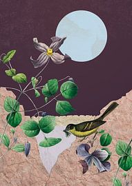 Purpurne Nacht von Jadzia Klimkiewicz