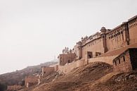 Fort d'ambre (Ajmer) | Jaipur | Rajasthan | Inde par Lotte van Alderen Aperçu
