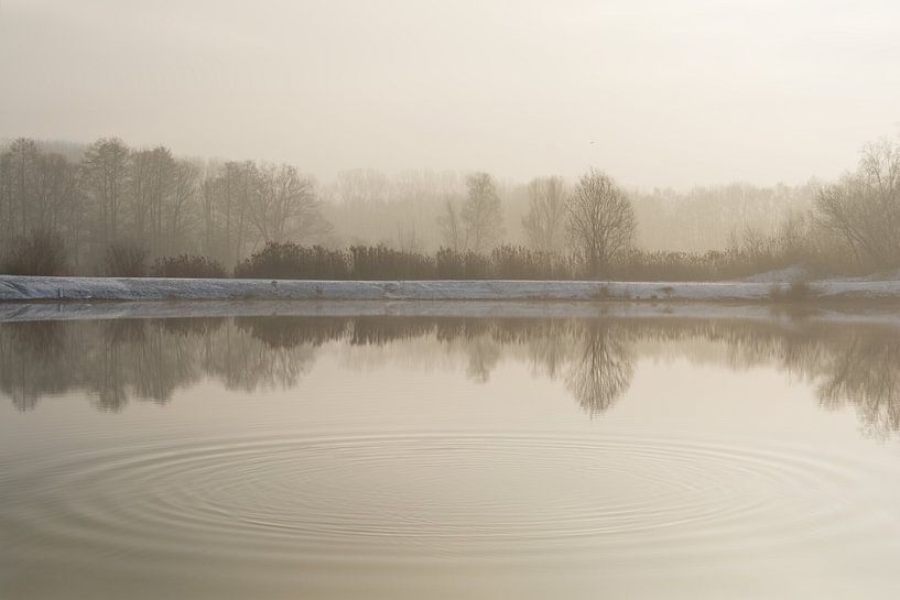 Contemplation von Lena Weisbek