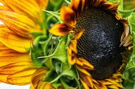 Rood met gele zonnebloemen van Jolanda de Jong-Jansen thumbnail