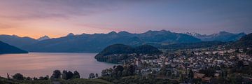 Panorama van Spiez in het Berner Oberland