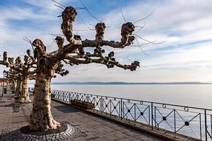 Uferpromenade in Meersburg