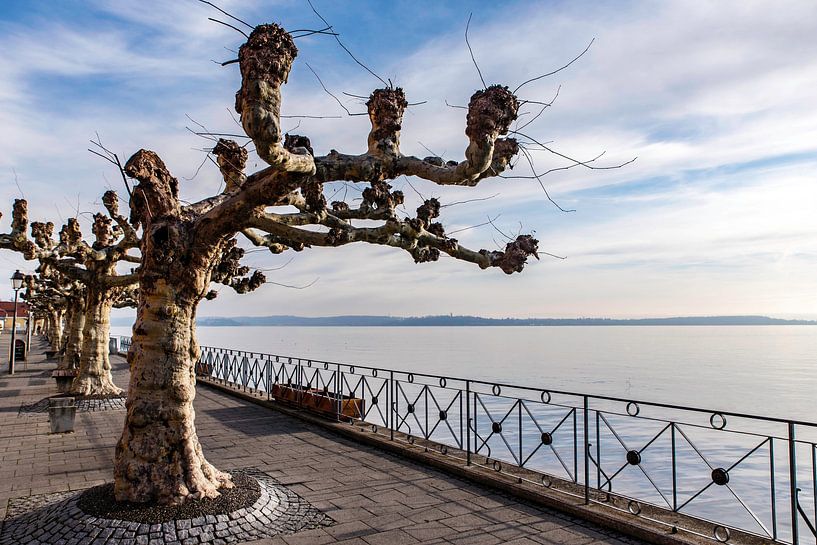 Promenade au bord de l'eau à Meersburg par Dieter Walther