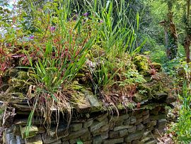 Hauteur Jardin