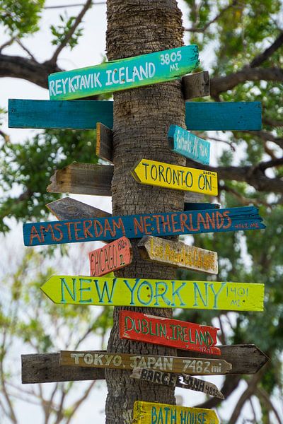 USA, Floride, Panneaux de direction avec distances sur tronc de palmier par adventure-photos