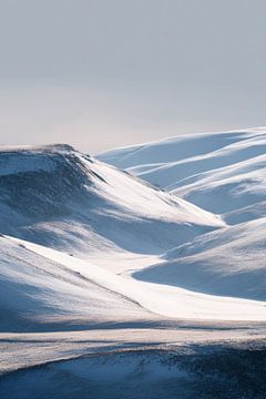 Douce vallée ondulée en hiver sur Femea Stille Landschappen