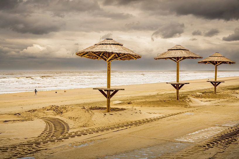 Tropical Netherlands. Noordwijk. by Alie Ekkelenkamp