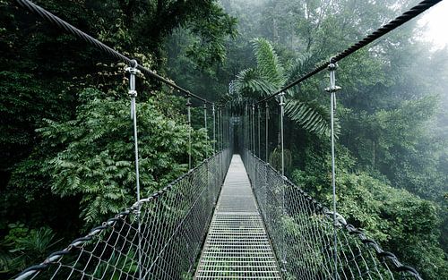 Hangbrug in Costa Rica