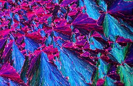 Chinoform by André Wieringa