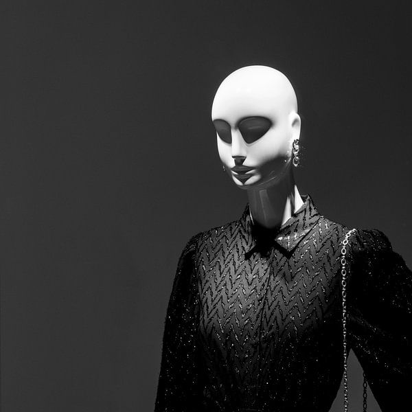 Abstracte mannequin van Noud de Greef