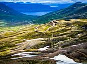 Bergweg naar het fjord, IJsland van Rietje Bulthuis thumbnail