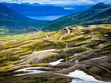 Bergweg naar het fjord, IJsland van Rietje Bulthuis
