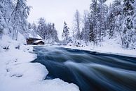 Wild flowing river in Oulanka NP by Martijn Smeets thumbnail