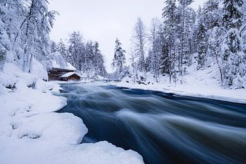 Wild flowing river in Oulanka NP by Martijn Smeets