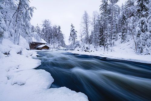 Wild flowing river in Oulanka NP