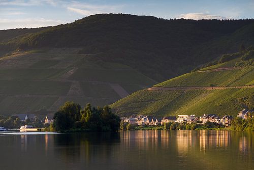Heuvels aan de Moezel in de zomer