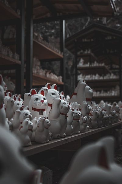 Maneki neko von Sem Viersen