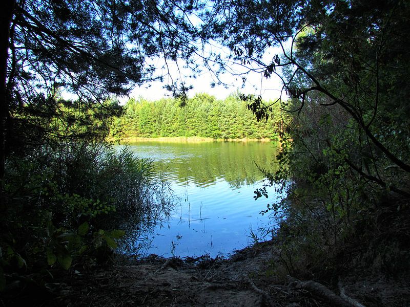 LAKE VIEW FROM FOREST by Ivanovic Arndts