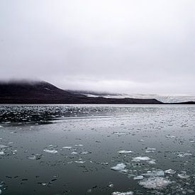 Sailin' Spitsbergen van Tom Loman