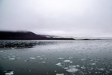 Sailin' Spitsbergen van Tom Loman