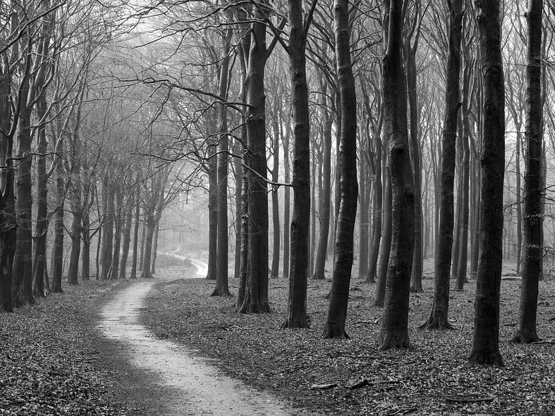 The Temptation of a Future Unknown by Martijn Jebbink Photography
