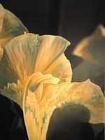 Spring - flower - fantasy landscape - abstract