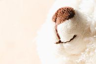 Witte teddy beer om te knuffelen van Margreet van Tricht thumbnail