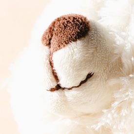White teddy bear ready to cuddle by Margreet van Tricht