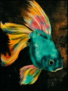 Pop Art - Schleierfisch