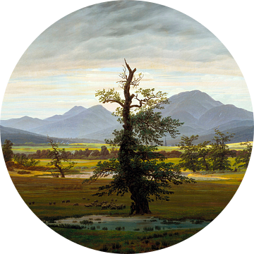 Caspar David Friedrich - De eenzame boom