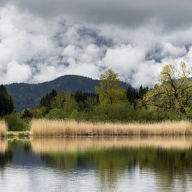 Tussen licht en schaduw - het stille ontwaken van de lente van Walter G. Allgöwer