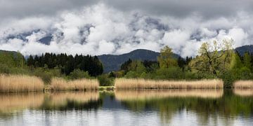 Tussen licht en schaduw - het stille ontwaken van de lente van Walter G. Allgöwer