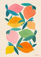 Mangue sauvage