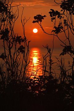 Sonnenuntergang am Meer von Rico Ködder