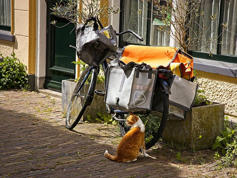 Postkat par Rob Boon