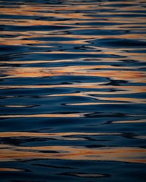 Patterns of the sea by Dayenne van Peperstraten
