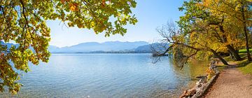 toscanapark Gmunden, lake Traunsee, autumnal colored trees at th by SusaZoom