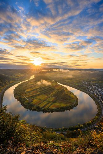 Moselle à Bremm, boucle de la Moselle au lever du soleil depuis un point de vue en automne