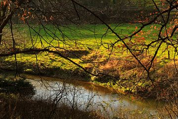 Rustige momenten in de natuur van Inspiration