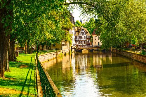 Bomen en kanaal in de wijk Petite France, Straatsburg