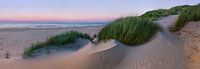 Panorama Dutch Dunes by Sander Poppe thumbnail